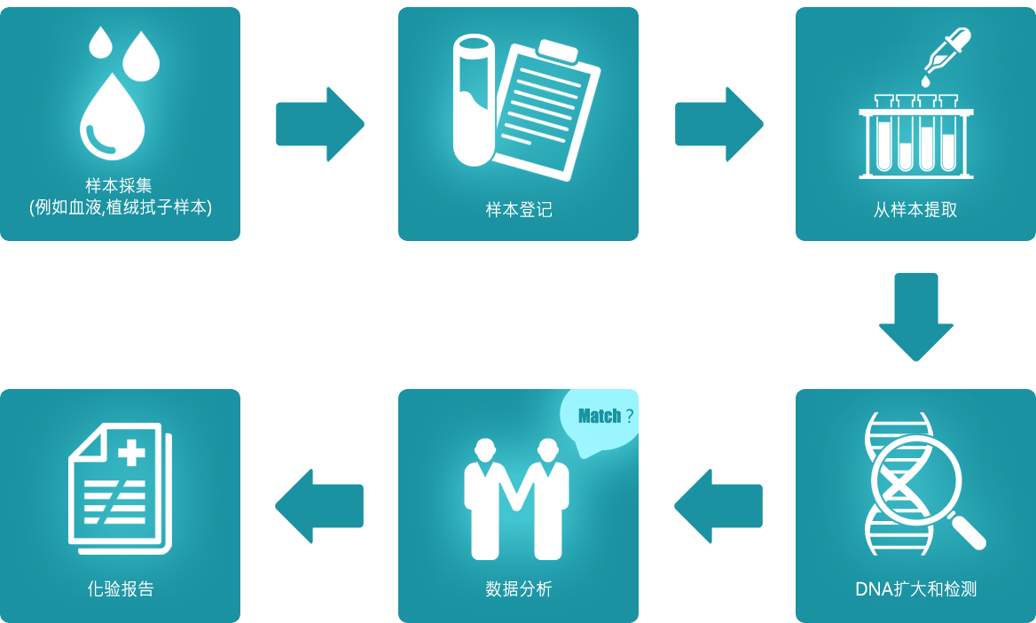 基因检测程序