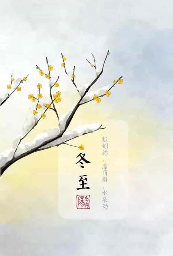 冬至补肾护心4食材,健康一整年